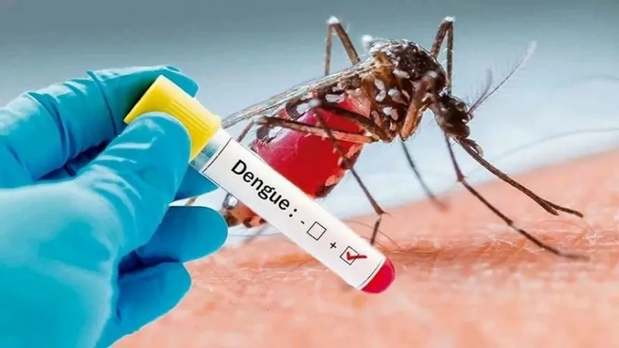 Autoridades de Salud detectan 280 casos de dengue y 132 de malaria